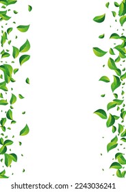 Olive Greens Blur Vector White Background. Swirl Leaf Branch. Green Foliage Falling Poster. Leaves Spring Plant.