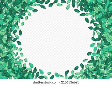Olive Greens Ecology Vector Transparent Background Brochure. Tea Leaves Backdrop. Lime Foliage Herbal Design. Leaf Motion Pattern.