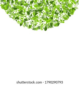Olive Greens Falling Vector Design. Fly Leaves Template. Lime Leaf Abstract Concept. Foliage Fresh Backdrop.