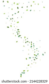 Olive Greens Flying Vector White Background. Tree Leaf Backdrop. Swamp Leaves Ecology Poster. Foliage Forest Concept.