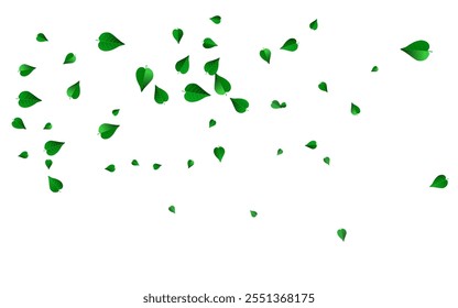 Olive Greens Flying Vector White Background Illustration. Falling Leaves Branch. Forest Foliage Abstract Poster. Leaf Wind Concept.