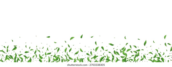 Olive Greens Forest Vector Panoramic White Background Banner. Ecology Leaves Template. Forest Leaf Motion Design. Foliage Flying Poster.