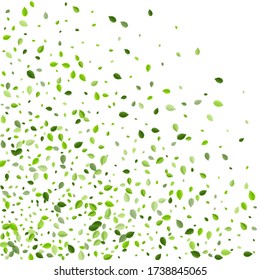 Olive Greens Motion Vector Brochure. Swirl Leaf Illustration. Mint Leaves Fresh Template. Foliage Falling Plant.