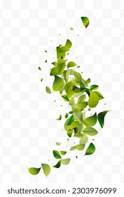 Olive Greens Motion White Transparent Vector Background Banner. Flying Leaves Illustration. Forest Foliage Blur Background. Leaf Falling Border.