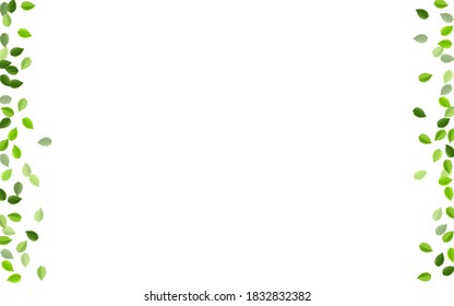 Olive Greens Nature Vector Border. Fly Foliage Brochure. Grassy Leaf Spring Wallpaper. Leaves Tea Illustration.