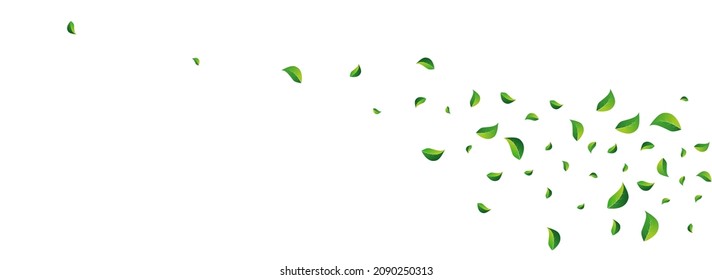 Olive Greens Realistic Vector Panoramic White Background. Falling Foliage Concept. Grassy Leaf Tea Template. Leaves Flying Pattern.