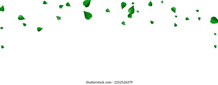 Olive Greens Realistic Vector Panoramic White Background Illustration. Flying Foliage Design. Mint Leaf Nature Brochure. Leaves Fresh Banner.