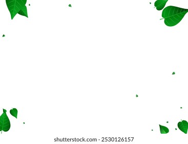 Olive Greens Realistic Vector White Background Brochure. Tree Foliage Template. Green Leaf Nature Banner. Leaves Ecology Pattern.