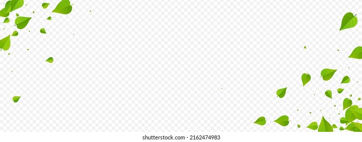 Olive Greens Spring Vector Panoramic Transparent Background Template. Swirl Leaf Brochure. Forest Foliage Flying Plant. Leaves Fly Poster.