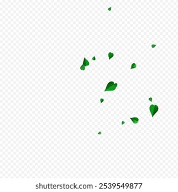 Olive Greens Spring Vector Transparent Background Plant. Forest Leaf Illustration. Forest Foliage Fly Design. Leaves Motion Poster.