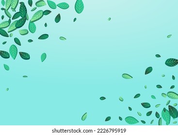 Olive Greens Swirl Vector Blue Background Branch. Fresh Foliage Pattern. Lime Leaves Transparent Border. Leaf Tree Banner.