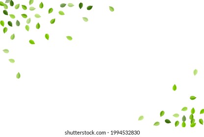 Olive Greens Swirl Vector Border. Organic Leaf Pattern. Lime Foliage Transparent Branch. Leaves Fly Brochure.