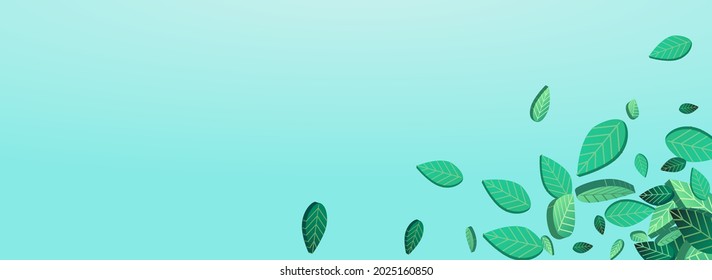 Olive Greens Swirl Vector Panoramic Blue Background Banner. Tea Leaf Concept. Lime Leaves Transparent Pattern. Foliage Fly Template.