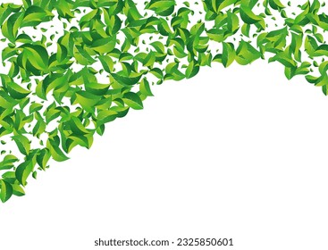 Olive Greens Swirl Vector White Background. Flying Leaf Poster. Forest Foliage Abstract Plant. Leaves Fresh Branch.