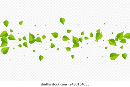 Olive Greens Transparent Vector Transparent Background Wallpaper. Wind Foliage Illustration. Grassy Leaf Organic Banner. Leaves Nature Plant.