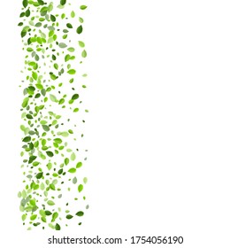 Olive Greens Transparent Vector Concept. Falling Foliage Poster. Grassy Leaf Flying Border. Leaves Blur Backdrop.