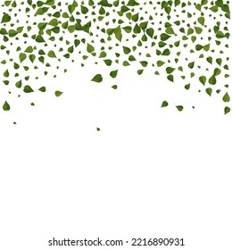 Olive Greens Tree Vector White Background Illustration. Falling Foliage Plant. Forest Leaf Realistic Poster. Leaves Herbal Backdrop.