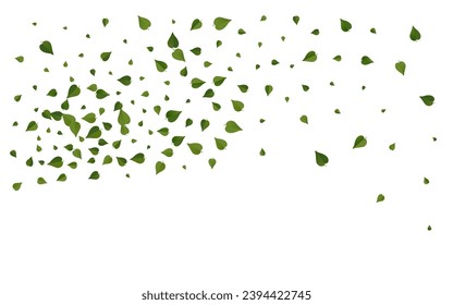 Borde de fondo blanco del vector del viento de los verdes olivos. Rama de follaje borroso. Patrón de hierbas de hojas verdes. Plantilla de movimiento de hoja.