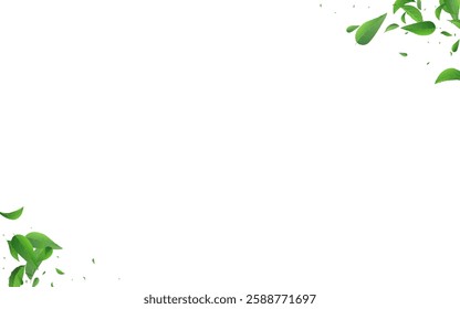 Olive Greens Wind Vector White Background Poster. Spring Leaves Design. Green Foliage Nature Wallpaper. Leaf Transparent Brochure.