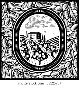 Olive grove black and white. Vector