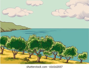 Olive grove next to the Mediterranean Sea