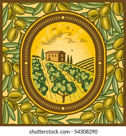 Olive grove. Vector