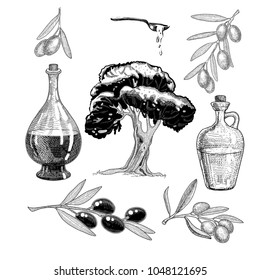 Olive hand drawn icons set with tree branch and olive tree and oil bottles .