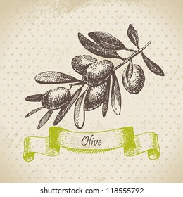 Olive. Hand drawn illustration