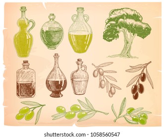 Olive hand drawn illustration set with tree branch and olive tree and oil bottles for label olive oil design. 