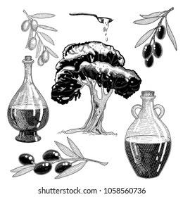 Olive hand drawn illustration set with tree branch and olive tree and oil bottles .