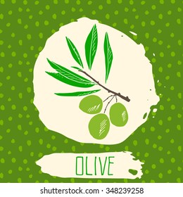 Olive hand drawn sketched fruit with leaf on background with dots pattern. Doodle vector olive for logo, label, brand identity.