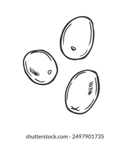 Olive hand drawn vector sketch in doodle style isolated on white background