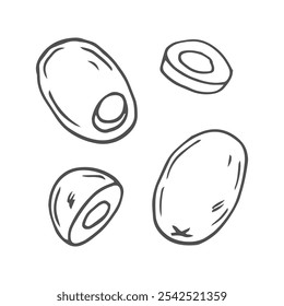 Boceto de Vector dibujado a mano de oliva en estilo doodle