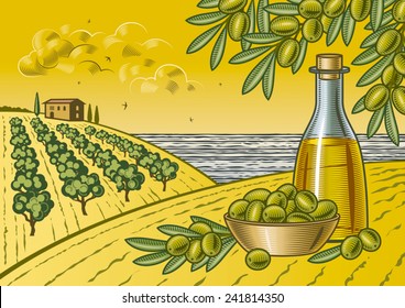 Olive harvest landscape. Fully editable vector illustration with clipping mask.