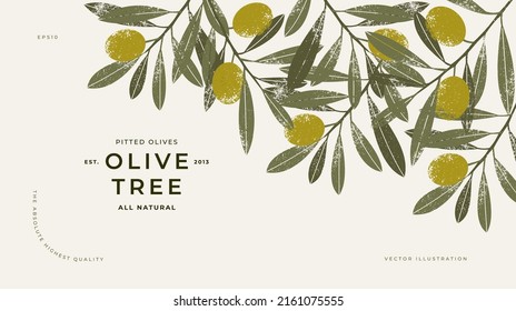 Olive horizontal design template. Olive leaves and branches. Vector illustration.
