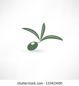 Olive icon