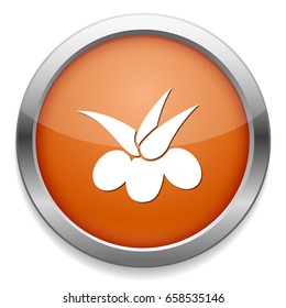 olive icon