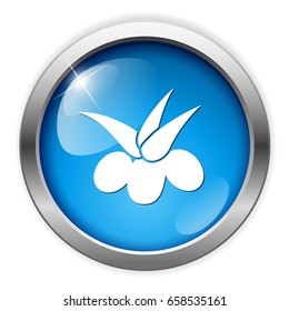 olive icon