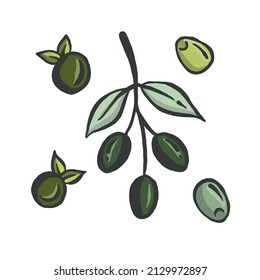 Olive icon in a flat design on a white background