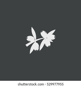 olive icon, isolated, black background
