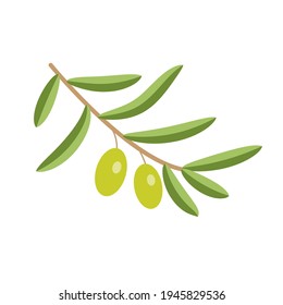 Olivensymbol einzeln auf weißem Hintergrund. Vektorgrafik