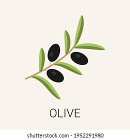 Icono de olivo aislado en fondo blanco. Ilustración del vector