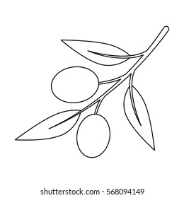Olive icon outline. Singe vegetables icon from the eco food outline.