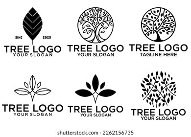olive icon template, creative vector logo design, illustration element
