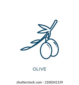 olive icon. Thin linear olive outline icon isolated on white background. Line vector olive sign, symbol for web and mobile