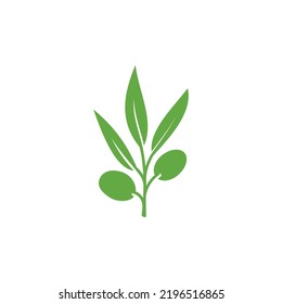 Olive icon vector. olive branch flat sign. olive solid pictogram. olive logo illustration. Vector illustration