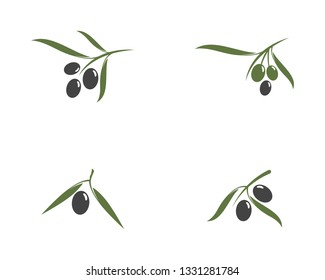 olive icon vector illustration design template