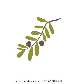 olive icon vector illustration design template