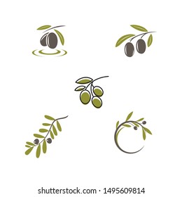 plantilla de diseño de ilustración del vector del icono de oliva