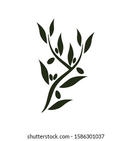 olive icon vector illustration design template